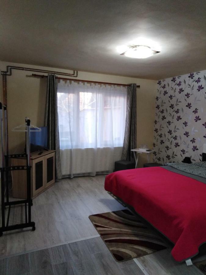 Casa Cu Butoi Hotel Sovata Ngoại thất bức ảnh